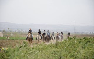 טיולי סוסים בחוות גזית
